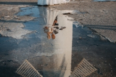 Najlepszy-fotograf-slubny-swinoujscie-00003